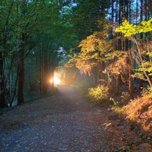 Healing & dans festival  (2)